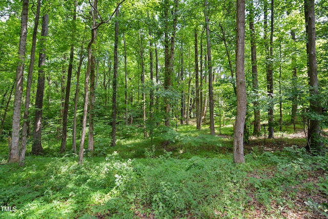 view of landscape featuring a forest view