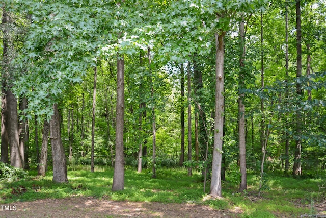 view of landscape featuring a wooded view