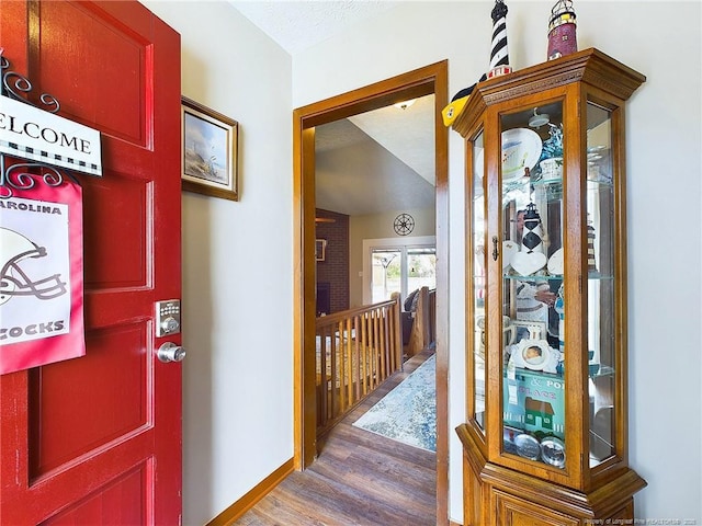 entryway with dark hardwood / wood-style floors