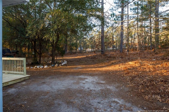 1090 W Maine Ave, Southern Pines, NC 28387 - photo 20