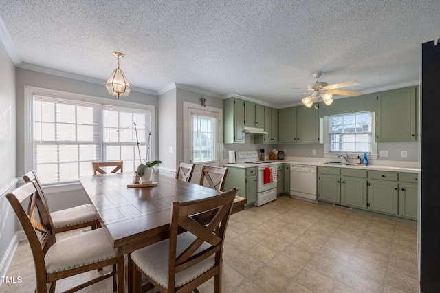 kitchen featuring hanging light fixtures, white appliances, and green cabinetry