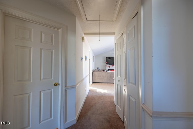 hall featuring light carpet and a textured ceiling