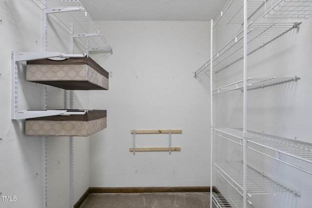 spacious closet featuring carpet floors