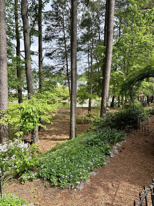 2112 White Pond Ct, Apex, NC 27523 - view of yard with a water view