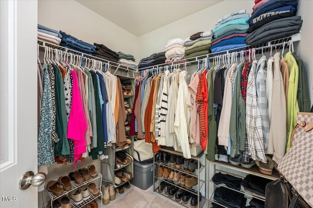 walk in closet featuring carpet floors