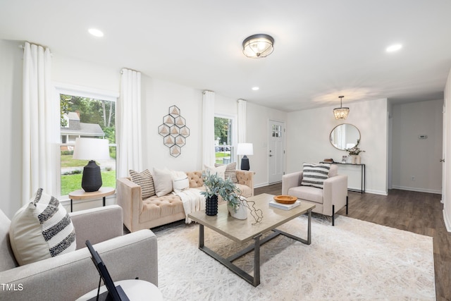 living room featuring hardwood / wood-style floors and a wealth of natural light