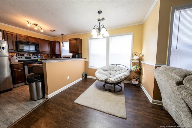 kitchen with a chandelier, appliances with stainless steel finishes, dark hardwood / wood-style flooring, and hanging light fixtures