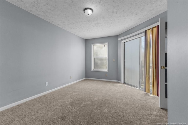 empty room featuring carpet and a textured ceiling