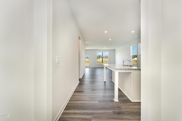 hall featuring dark hardwood / wood-style floors and sink