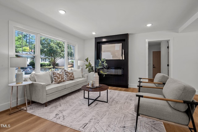 living room featuring a large fireplace and hardwood / wood-style flooring