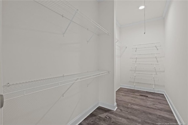 spacious closet featuring dark hardwood / wood-style floors