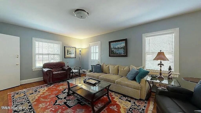 living room with hardwood / wood-style flooring