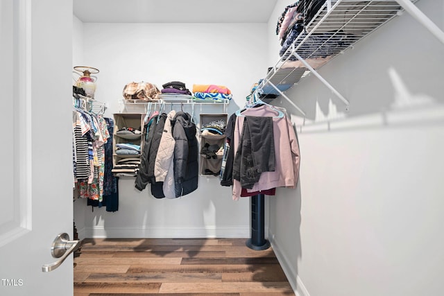 spacious closet with hardwood / wood-style floors