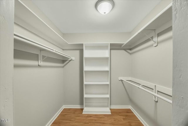 spacious closet with wood-type flooring