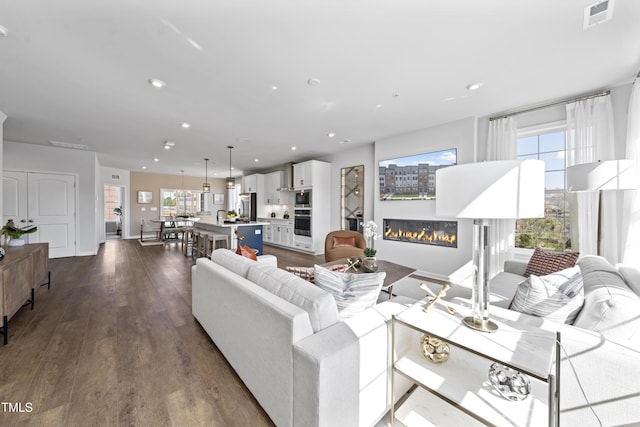 living room with dark hardwood / wood-style flooring