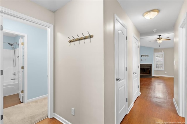 hall featuring hardwood / wood-style floors