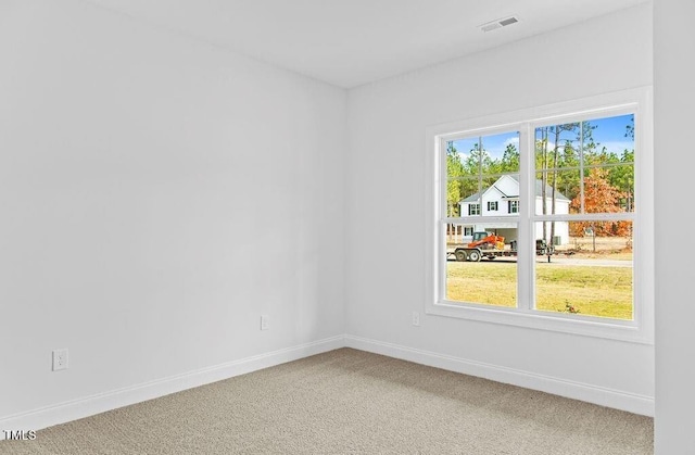 unfurnished room featuring carpet floors and a healthy amount of sunlight