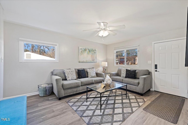 living room with wood-type flooring and ceiling fan