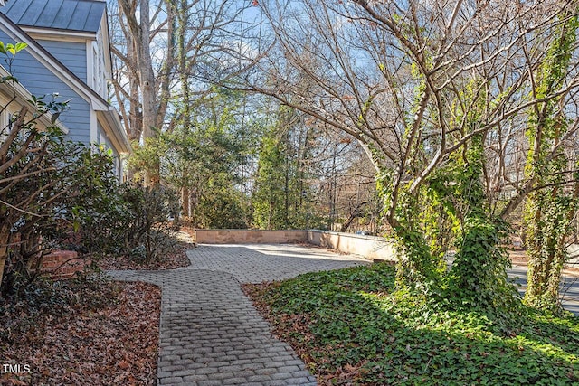 view of yard featuring a patio