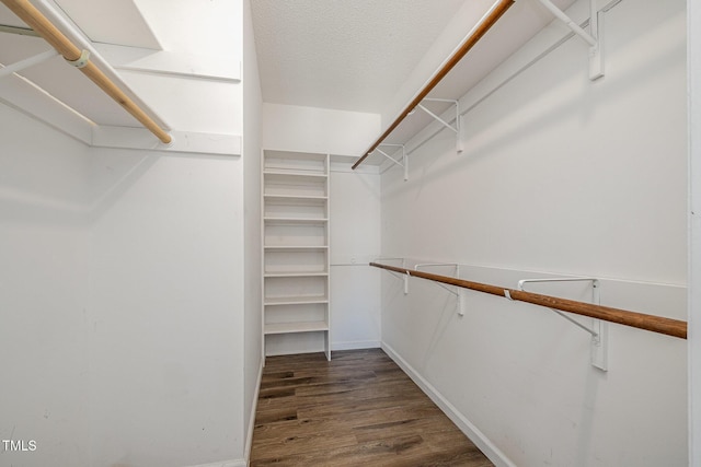 walk in closet featuring dark hardwood / wood-style floors