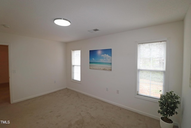 unfurnished room with a healthy amount of sunlight and light carpet