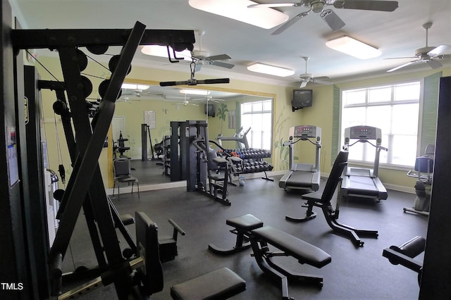 gym featuring crown molding