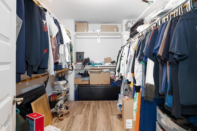 walk in closet with light wood-type flooring