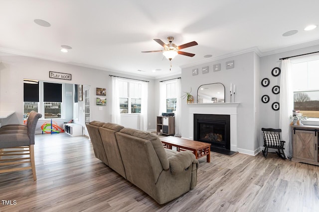 living room with ceiling fan, ornamental molding, and light wood-type flooring