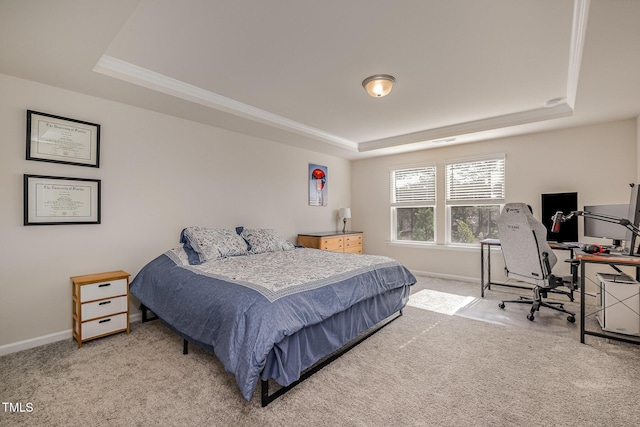 carpeted bedroom featuring a tray ceiling