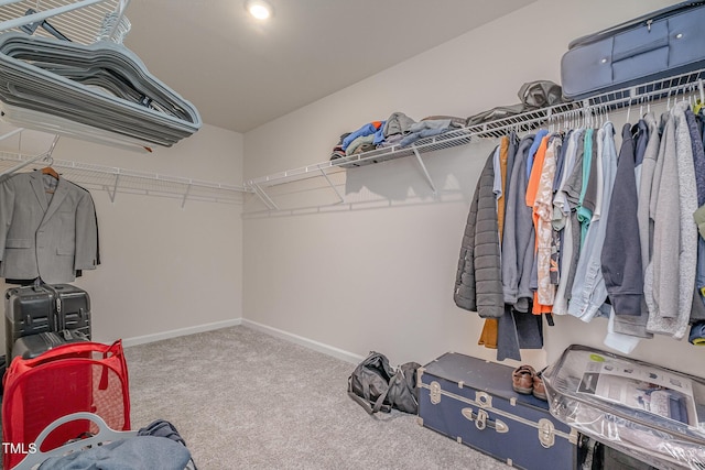 spacious closet featuring carpet