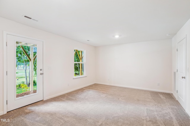 empty room with carpet flooring and a healthy amount of sunlight