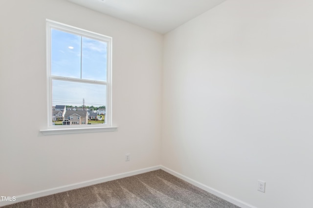 empty room featuring carpet floors and a wealth of natural light