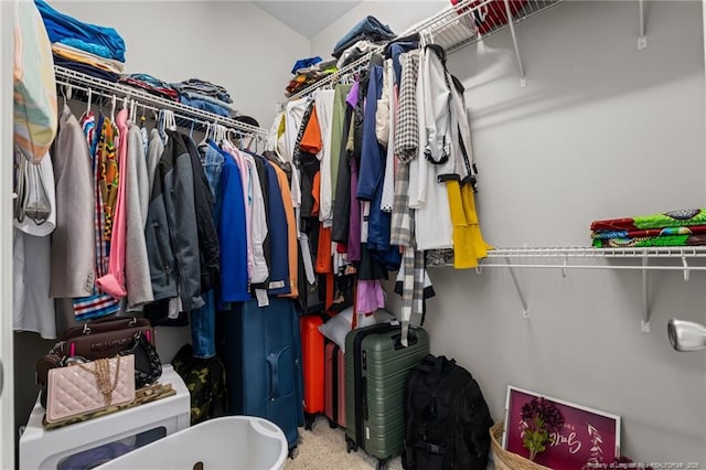 view of spacious closet