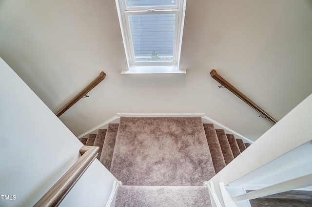 851 Parc Townes Dr Unit 10, Wendell, NC 27591 - stairs with carpet