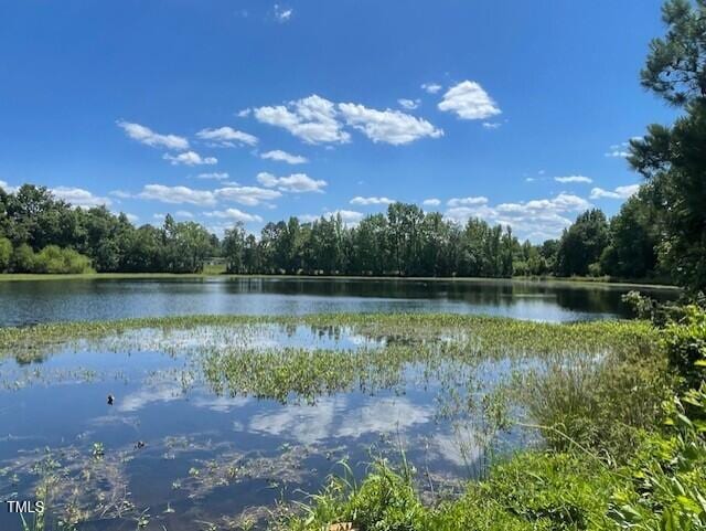 85 N Stagecoach Dr, Wendell, NC 27591 - water view featuring a forest