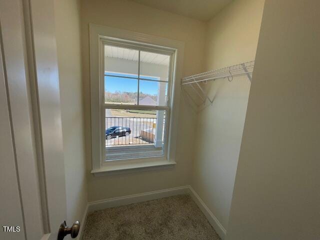 85 N Stagecoach Dr, Wendell, NC 27591 - walk in closet with carpet flooring