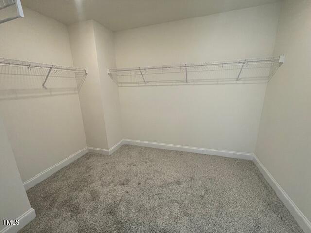 85 N Stagecoach Dr, Wendell, NC 27591 - spacious closet featuring carpet flooring