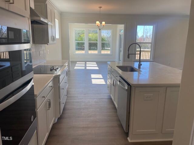 85 N Stagecoach Dr, Wendell, NC 27591 - kitchen featuring a sink, appliances with stainless steel finishes, a chandelier, and plenty of natural light