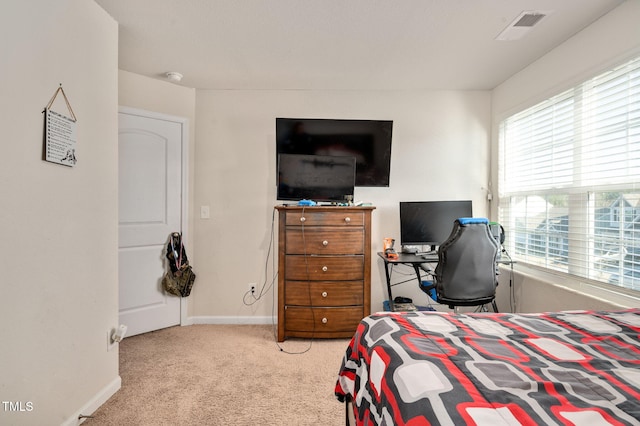 carpeted bedroom with multiple windows