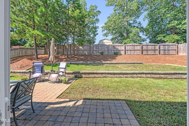 view of yard featuring a patio area