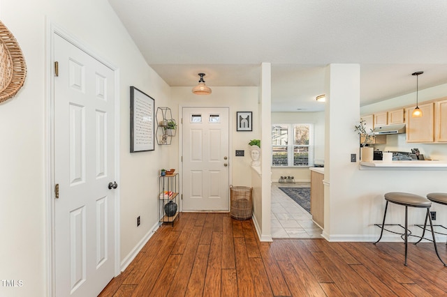 foyer entrance featuring light wood-type flooring