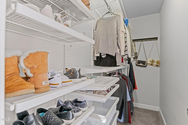 spacious closet with carpet