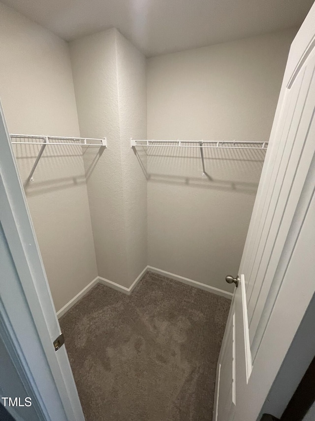 spacious closet featuring dark carpet