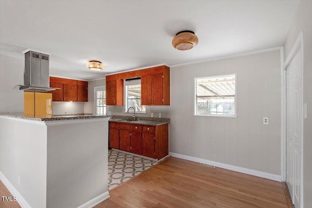 kitchen with crown molding, island exhaust hood, light hardwood / wood-style floors, and sink