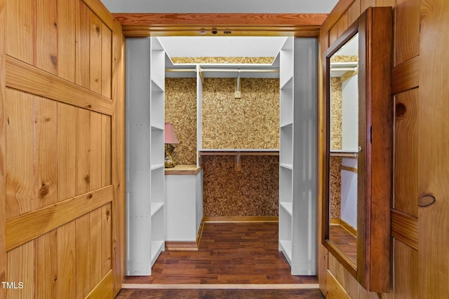 interior space with dark wood-type flooring