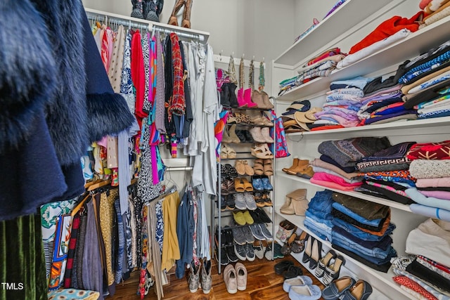 view of walk in closet