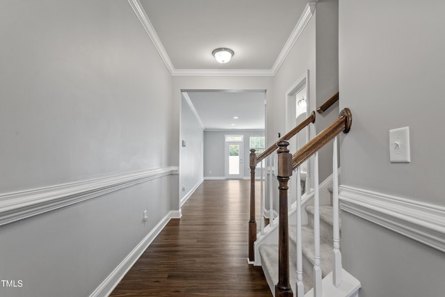 hall with dark wood-type flooring and crown molding