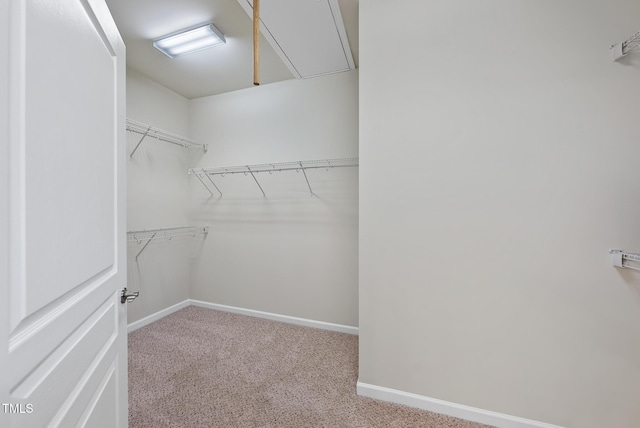 walk in closet with light colored carpet