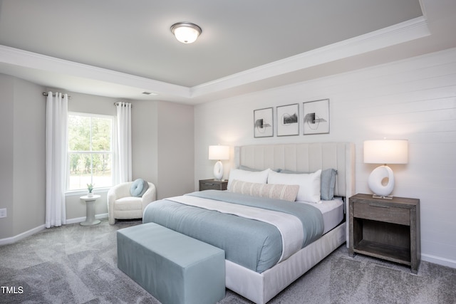 carpeted bedroom featuring a raised ceiling