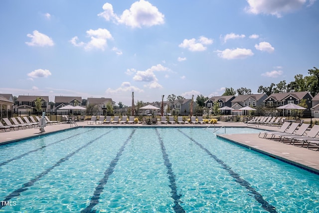 view of swimming pool with a patio